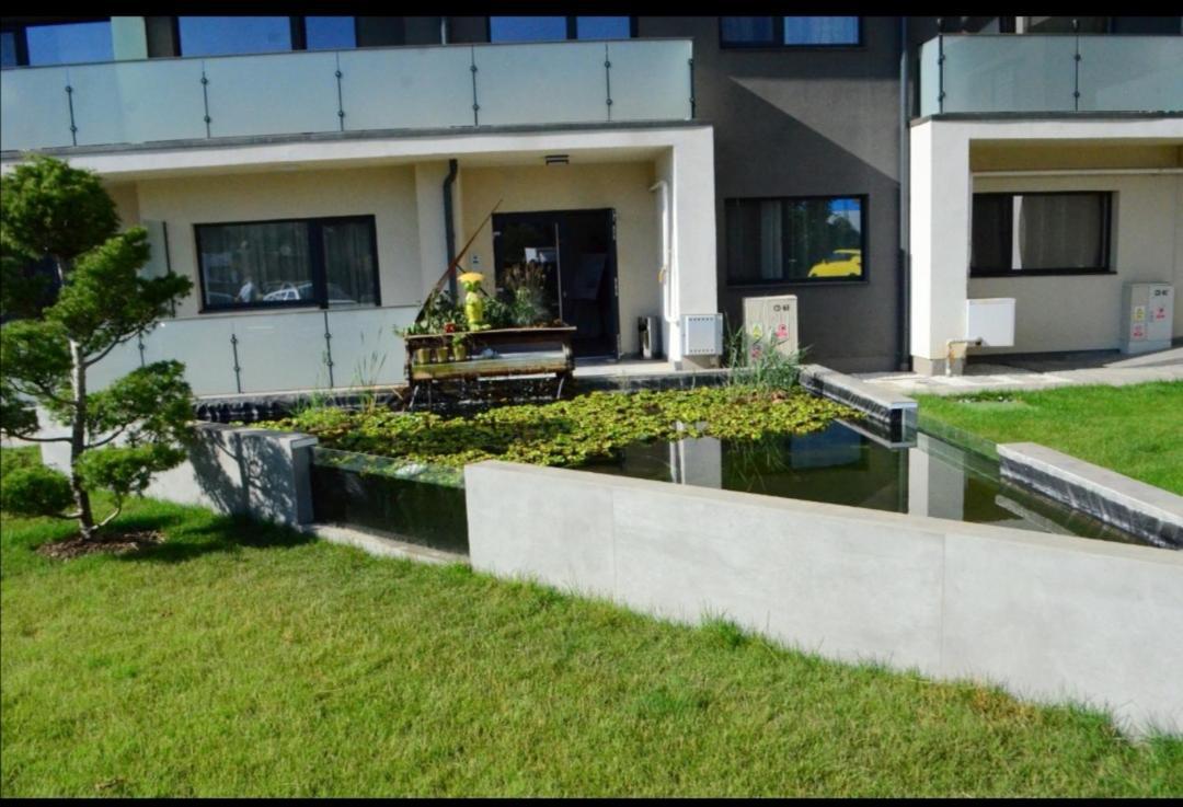 Vivamus Studio Braşov Exterior foto